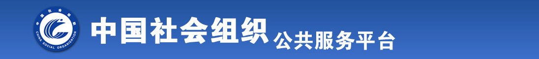 97艹全国社会组织信息查询